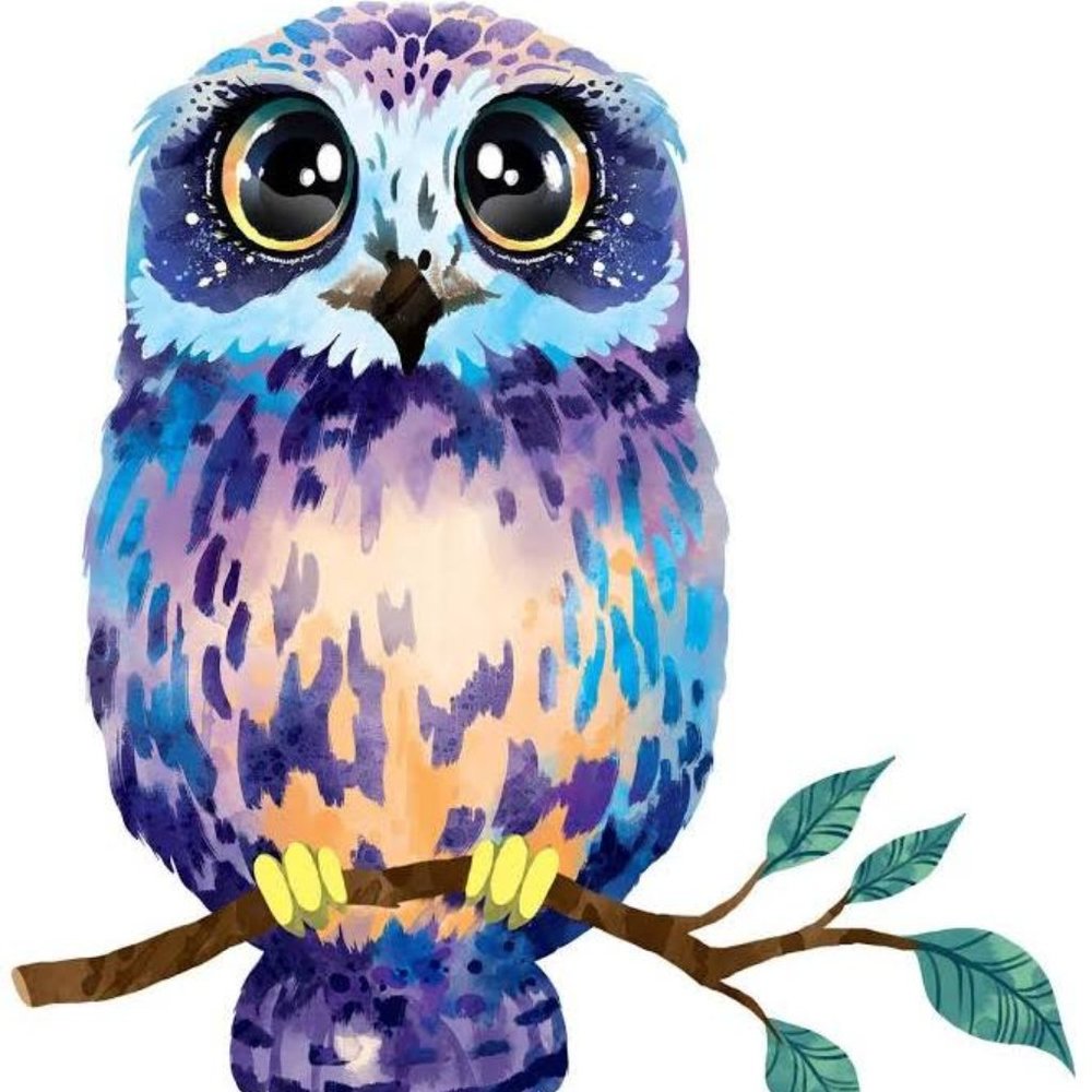 Meet your Posher, Pebble